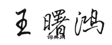 駱恆光王曙鴻行書個性簽名怎么寫