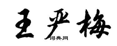 胡問遂王嚴梅行書個性簽名怎么寫