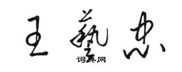 駱恆光王藝忠草書個性簽名怎么寫