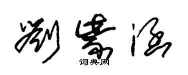 朱錫榮劉紫涵草書個性簽名怎么寫