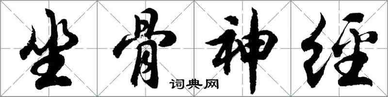 胡問遂坐骨神經行書怎么寫