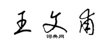 梁錦英王文甫草書個性簽名怎么寫