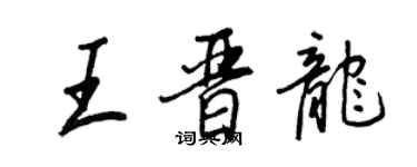 王正良王晉龍行書個性簽名怎么寫