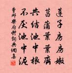 龐眉斑鬢貌嬰兒，三花聚頂施華滋 詩詞名句