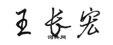 駱恆光王長宏行書個性簽名怎么寫