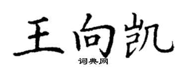 丁謙王向凱楷書個性簽名怎么寫