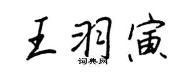 王正良王羽寅行書個性簽名怎么寫