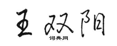 駱恆光王雙陽行書個性簽名怎么寫