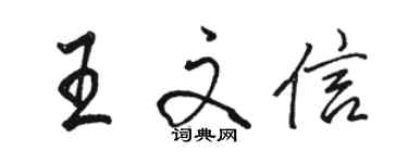 駱恆光王文信行書個性簽名怎么寫