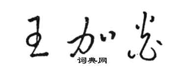 駱恆光王加炎草書個性簽名怎么寫