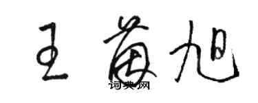 駱恆光王茵旭草書個性簽名怎么寫