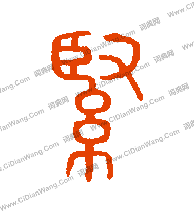 說文解字寫的緊