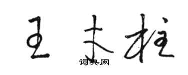 駱恆光王才柱草書個性簽名怎么寫