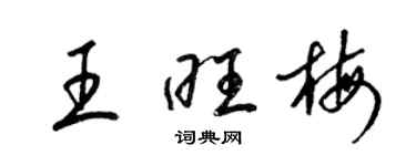 梁錦英王旺梅草書個性簽名怎么寫