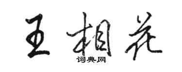 駱恆光王相花行書個性簽名怎么寫