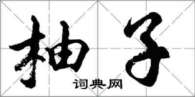 胡問遂柚子行書怎么寫