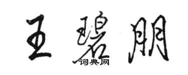 駱恆光王碧朋行書個性簽名怎么寫