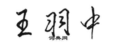 駱恆光王羽中行書個性簽名怎么寫