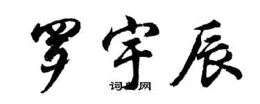 胡問遂羅宇辰行書個性簽名怎么寫