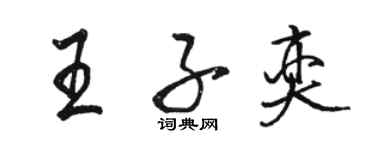 駱恆光王子奕行書個性簽名怎么寫