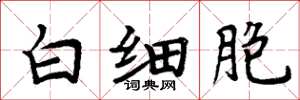 周炳元白細胞楷書怎么寫