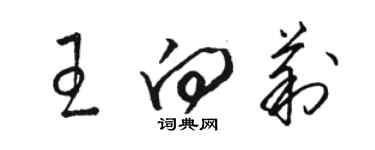 駱恆光王向莉草書個性簽名怎么寫