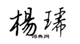 王正良楊琥行書個性簽名怎么寫