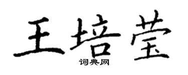 丁謙王培瑩楷書個性簽名怎么寫