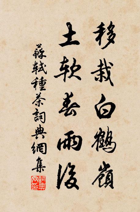 欲知別後相思處,月上梅梢夜夜樓 詩詞名句