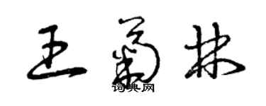 曾慶福王菊林草書個性簽名怎么寫