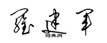 梁錦英羅建軍草書個性簽名怎么寫