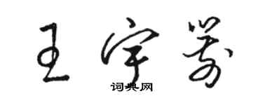 駱恆光王宇箭草書個性簽名怎么寫