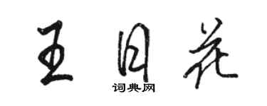 駱恆光王日花行書個性簽名怎么寫