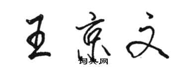 駱恆光王京文行書個性簽名怎么寫