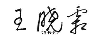 駱恆光王曉霜草書個性簽名怎么寫