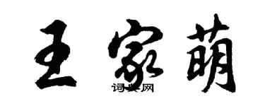 胡問遂王家萌行書個性簽名怎么寫