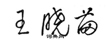 駱恆光王曉苗草書個性簽名怎么寫