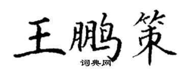 丁謙王鵬策楷書個性簽名怎么寫