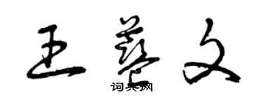 曾慶福王藍文草書個性簽名怎么寫