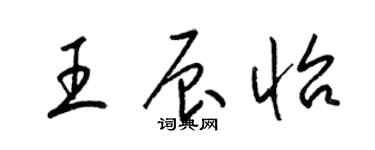 梁錦英王辰怡草書個性簽名怎么寫