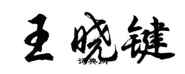 胡問遂王曉鍵行書個性簽名怎么寫