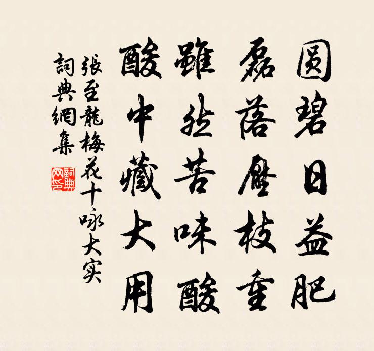 張至龍梅花十詠大實書法作品欣賞