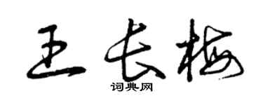 曾慶福王長梅草書個性簽名怎么寫