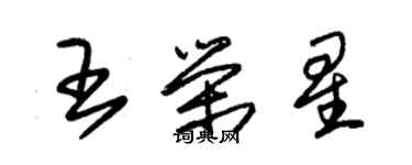 朱錫榮王榮星草書個性簽名怎么寫