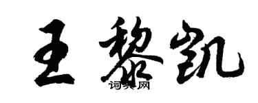 胡問遂王黎凱行書個性簽名怎么寫