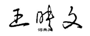 曾慶福王映文草書個性簽名怎么寫