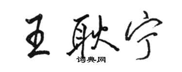 駱恆光王耿寧行書個性簽名怎么寫