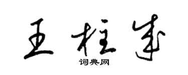 梁錦英王柱成草書個性簽名怎么寫