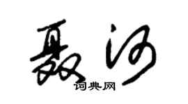 朱錫榮聶河草書個性簽名怎么寫