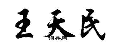 胡問遂王天民行書個性簽名怎么寫